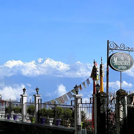 Muscatel Nirvana - At The Mall Road Hotel Darjeeling  Exterior photo